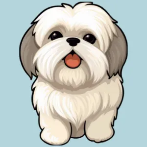 A Maya é a melhor shi tzu que eu conheço.