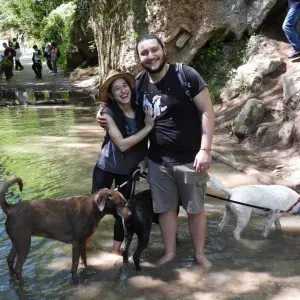 Per Sitting e o addestramento base a Civitanova e dintorni!