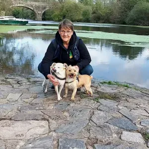 Pet Sitter a la Chapelle sur Erdre 