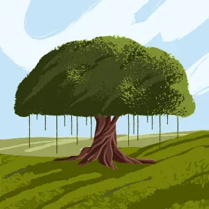 Aide à domicile - Metz et alentours 