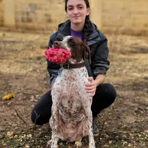 Pet-Sitter à Andrézieux Bouthéon 