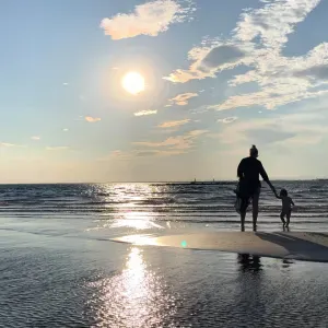 Aide au ménage à Roques-sur-garonne