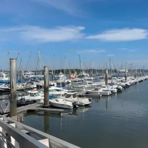 Recherche femme de ménage