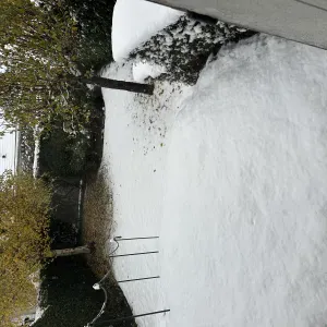 ménage, courses ou accompagnement pour les rendez-vous.