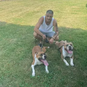 Position for a Petsitter in Giussano