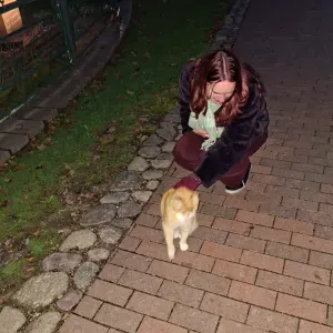 Gyvūnų priežiūra Žirmūnuose, Antakalnyje ir pan.