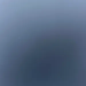 Femme de ménage responsable dans le 59171!