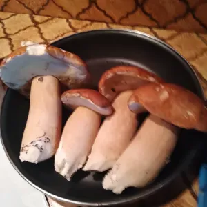 Femme de ménage à domicile TARBES