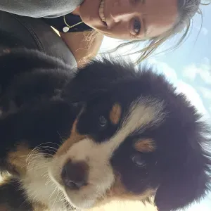 Dog walking, pet-sitter