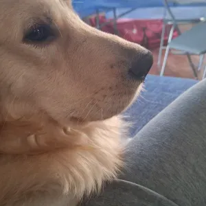 Position for a cleaner in Monza