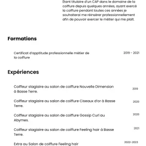 Femme de ménage motivée et dynamique. 