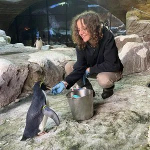 Garde d'animaux pour toutes et tous