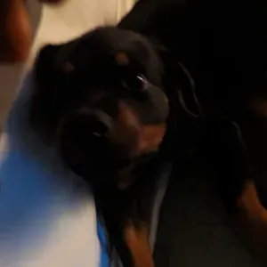 Je recherche une femme de ménage 