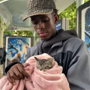 Baby sitter en rechercher d'expérience 