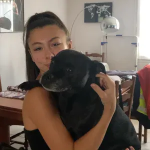 Garde de chiens dans le Tarn et Garonne 