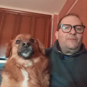 Cerco pulizie vicino a me