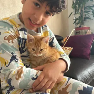 Je recherche un petsitter
