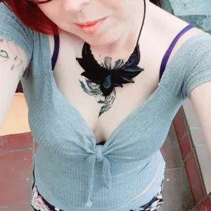 Garde de chien chat et autres.