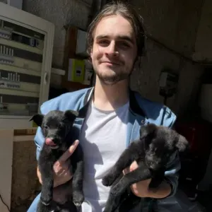 Pet Sitter à Salon de Provence !