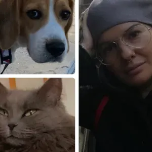 Pet  sitting a Lucca 55100 toscana