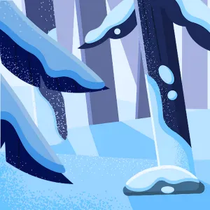 Cercasi servizio di pulizie