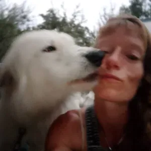 Pet sitter Perpignan et alentours