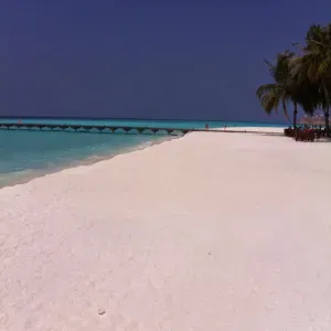 Offerta di lavoro per pulizie a San Felice Circeo