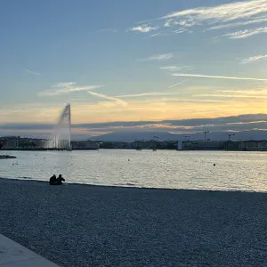 Pet-sitter à Genève super!16€73733