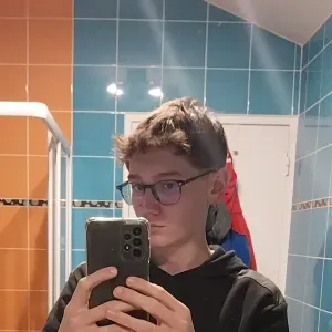 Pet-Sitter au alentour de saint remy 71