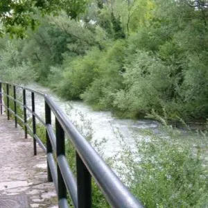 Cercasi servizio di pulizie