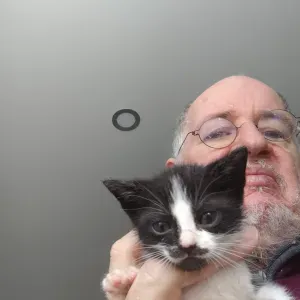 Procura-se empregada doméstica