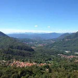 Cerco pulizie vicino a me