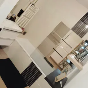 Femme de ménage expérimenté montpellier