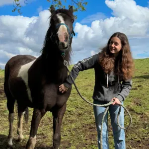 Pet-Sitter Vannes et alentours 