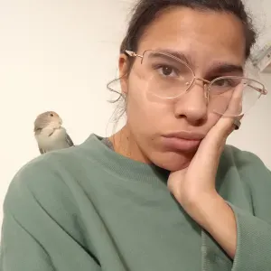 Cuido de cães em Setúbal de qualquer tamanho 