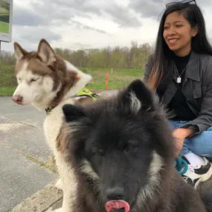 La belle vie de nos chiens