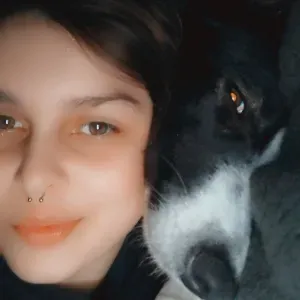 Amour et soin pour vos animaux 