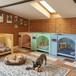 Pulizia case e non solo