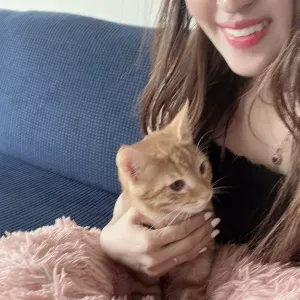 A responsible and reliable housekeeper with yacht experience