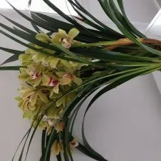 Aide ménagère en CESU +de 6 ans d expérience professionnelle