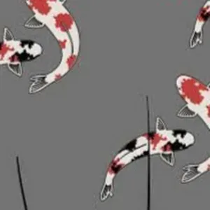 Baby-sitter et aide aux devoirs