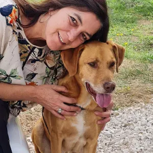 Cuidar do seu cão como meu | Caring for your dog as my own
