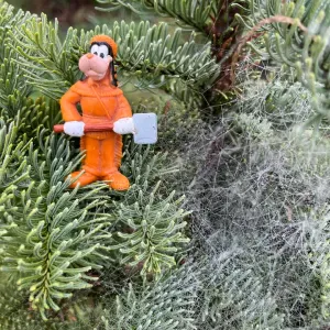 Je cherche un(e) petsitter près de chez moi