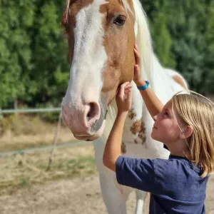 Expérimenter en garde d'animaux 