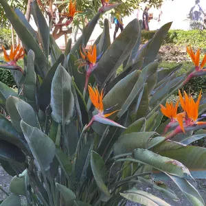 Je me situes sur l'axe  Altkirch - Mulhouse