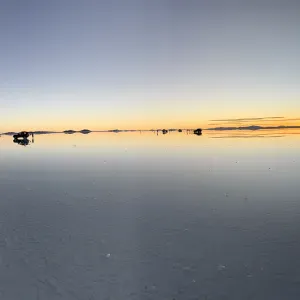 Colf badante colaboratrice domestica