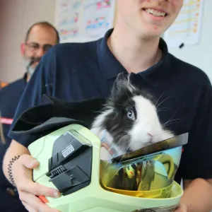 Cours particuliers pour primaire & collège