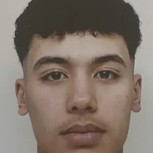 baby sitter a Paris bienvenue 