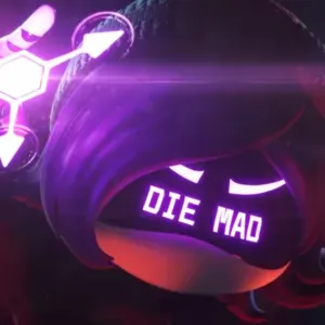 Petsitter, opieka nad zwierzetami w okolicy dolnośląska