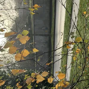 Babysitter looking for a job in Paris